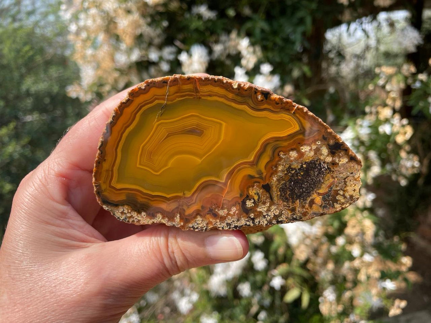 Lilangabi agate 98 mm – in-hand size reference, parallax, fortification banding, deep amber tones