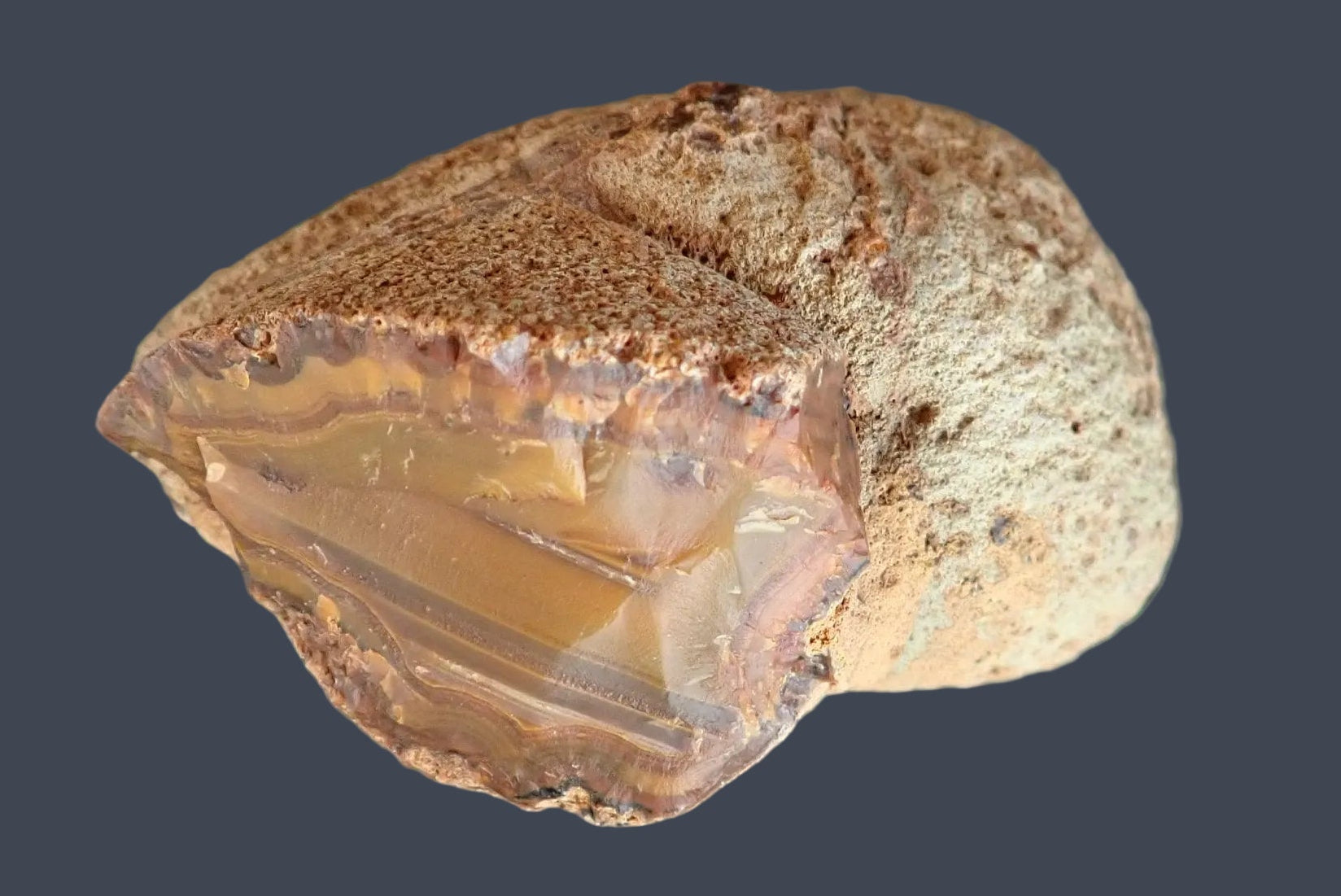 Lilangabi agate 98 mm – back view, natural rind, Lebombo Mountains