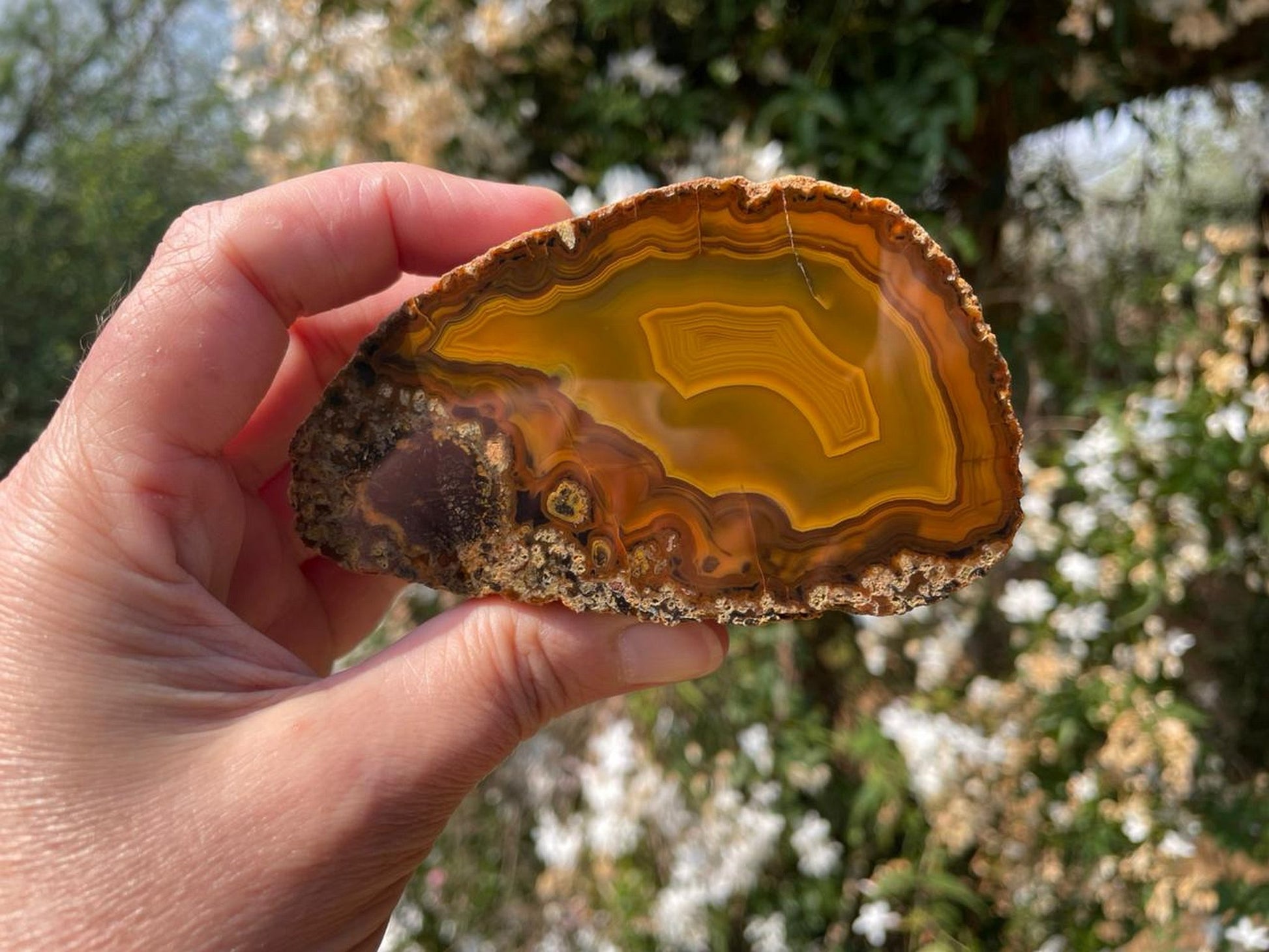 Lilangabi agate 97 mm – in-hand size reference, parallax, fortification banding, deep amber tones