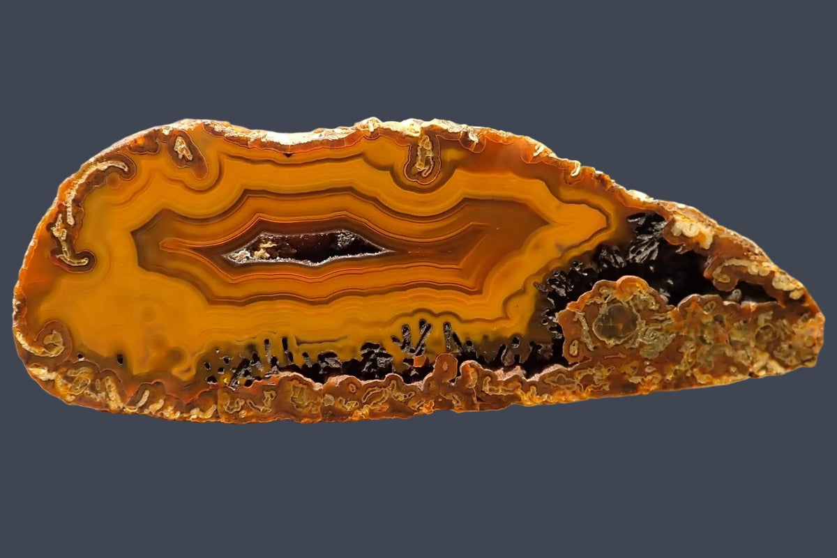 Lilangabi agate 127 mm – full face, fortification banding in golden amber and burnt orange, central drusy vug, Lebombo Mountains