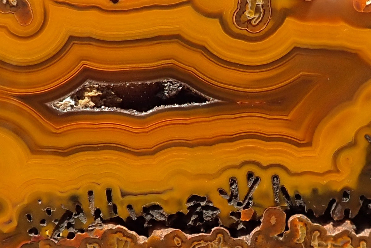 Lilangabi agate 127 mm – close-up, fortification banding with chromatographic shift from amber to chocolate brown, drusy vug with crystalline interior