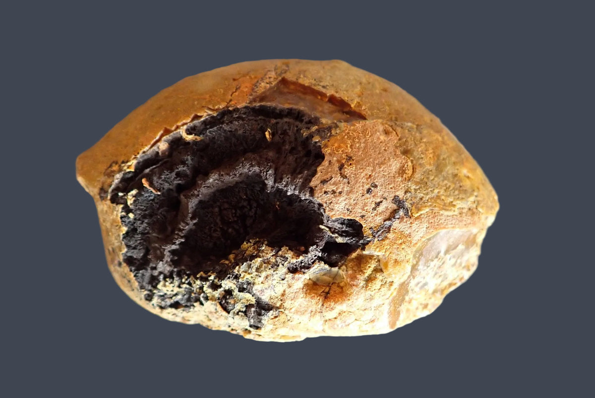 Lilangabi agate 102 mm – back view, natural unpolished rind, Lebombo Mountains