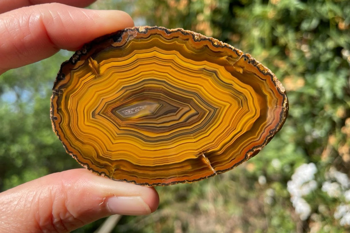 Lilangabi agate 74 mm – in-hand size reference, fortification banding, chromatography visible, collector specimen