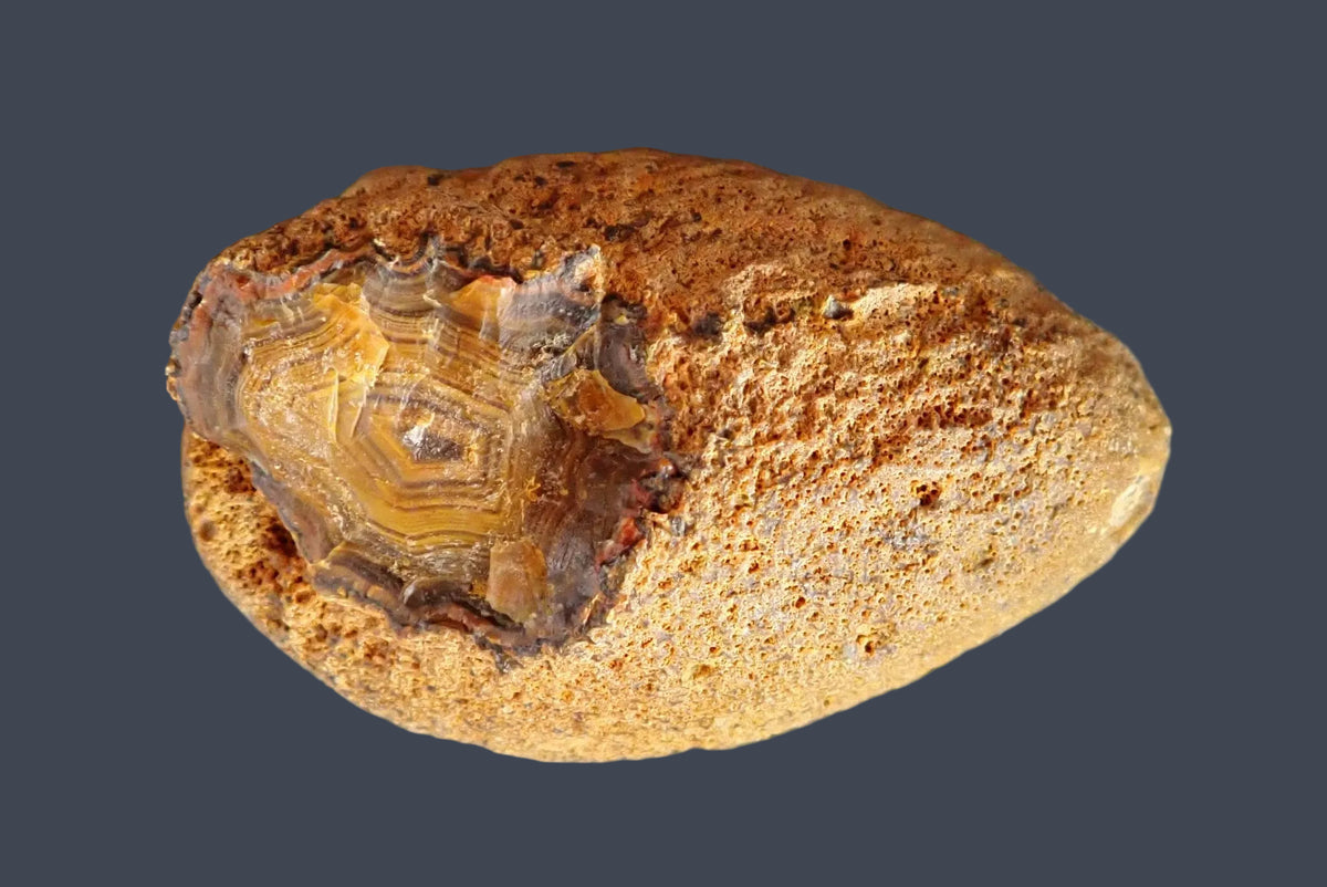Lilangabi agate 74 mm – back view, natural rind, Lebombo Mountains