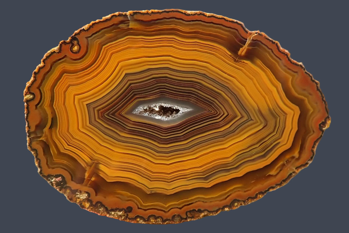 Lilangabi agate 71 mm – face view, dense fortification banding, chromatographic shift from golden amber to deep orange-brown, drusy vug centre, Lebombo Mountains