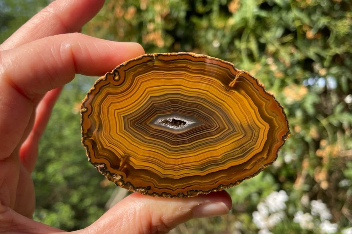 Lilangabi agate 71 mm – in-hand size reference, fortification banding and chromatography visible, collector specimen