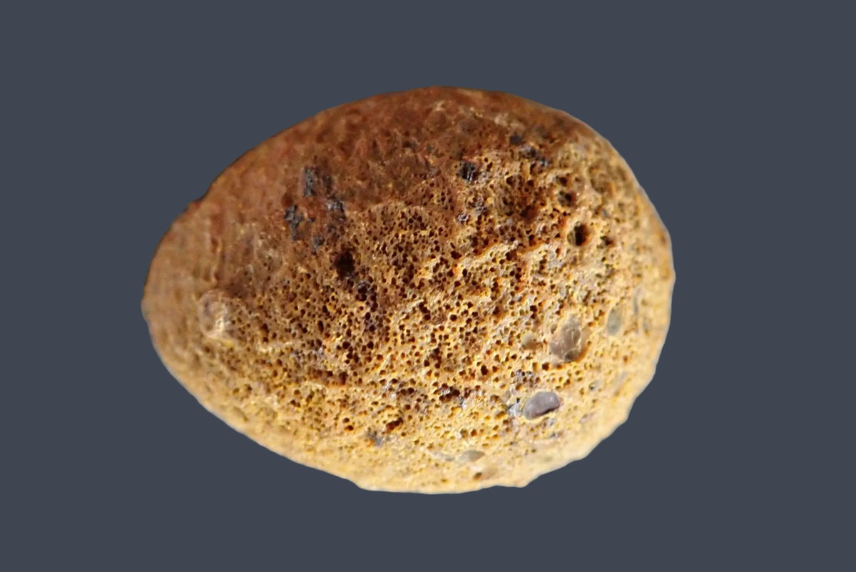 Lilangabi agate 71 mm – back view, natural rind, Lebombo Mountains