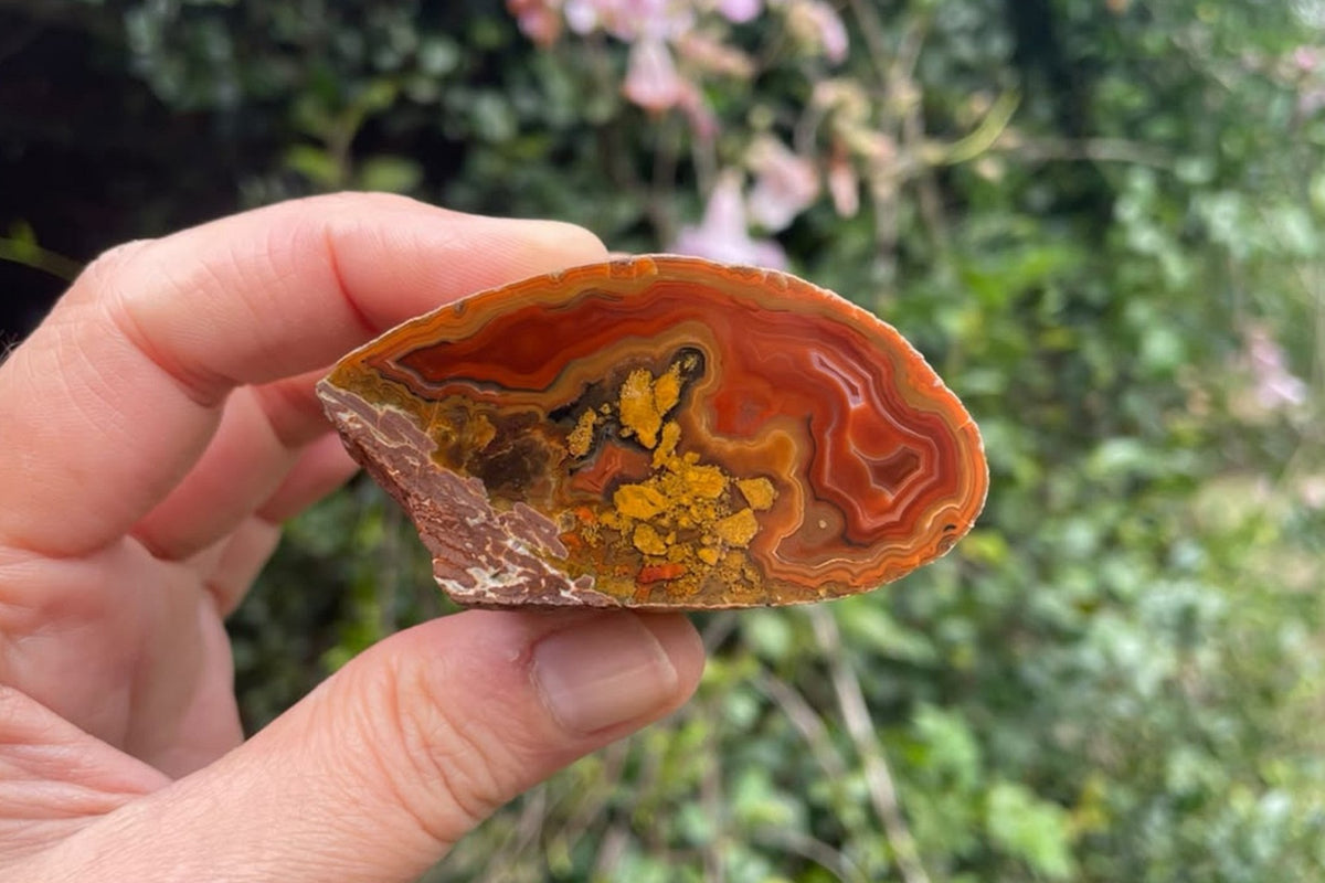Hand-held 62 mm Lilangabi agate collector specimen showing natural scale