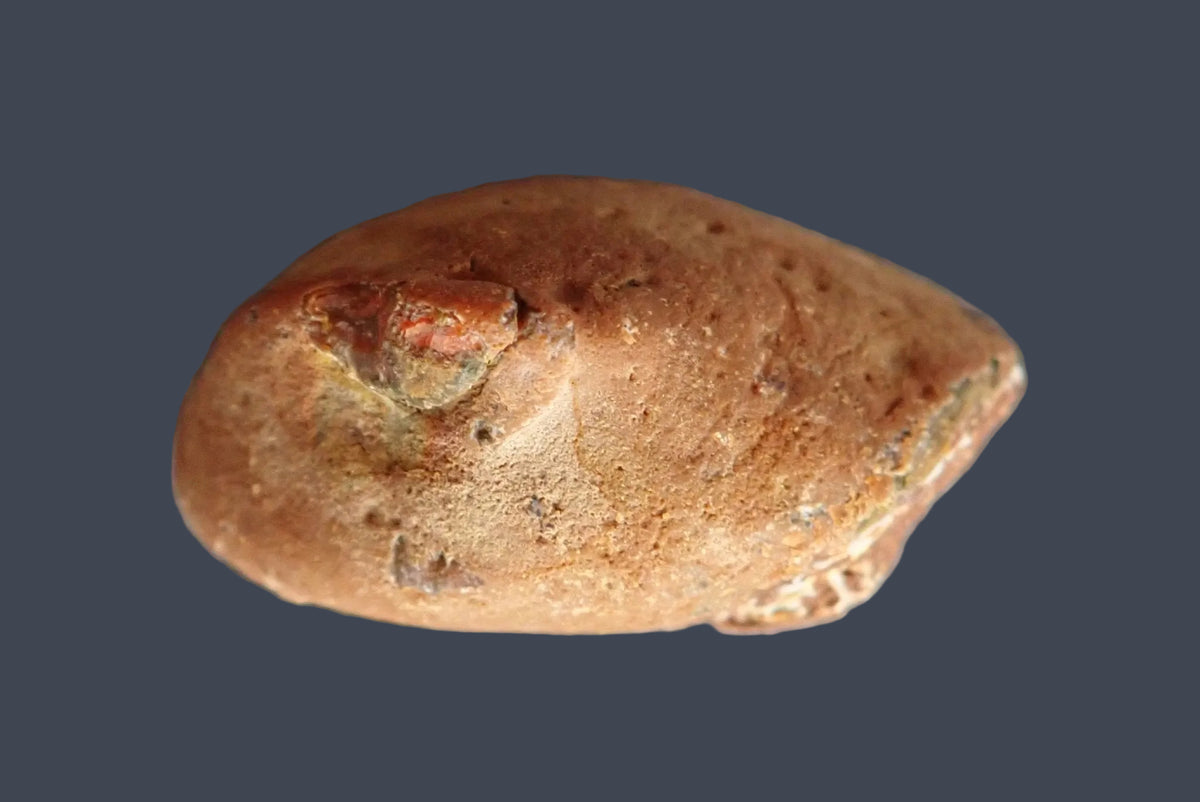 Back of 62 mm Lilangabi agate showing the natural rough rind
