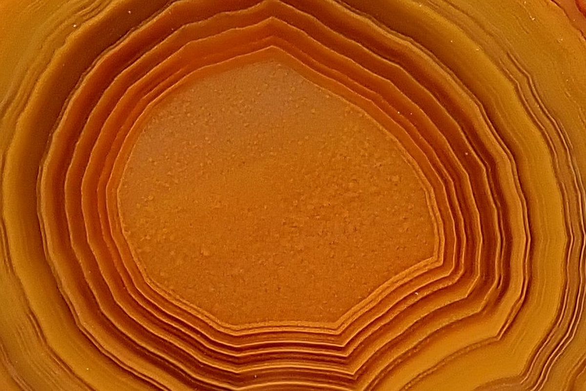 Close-up of amber and burnt-orange chromatography in Lilangabi agate LIL00091