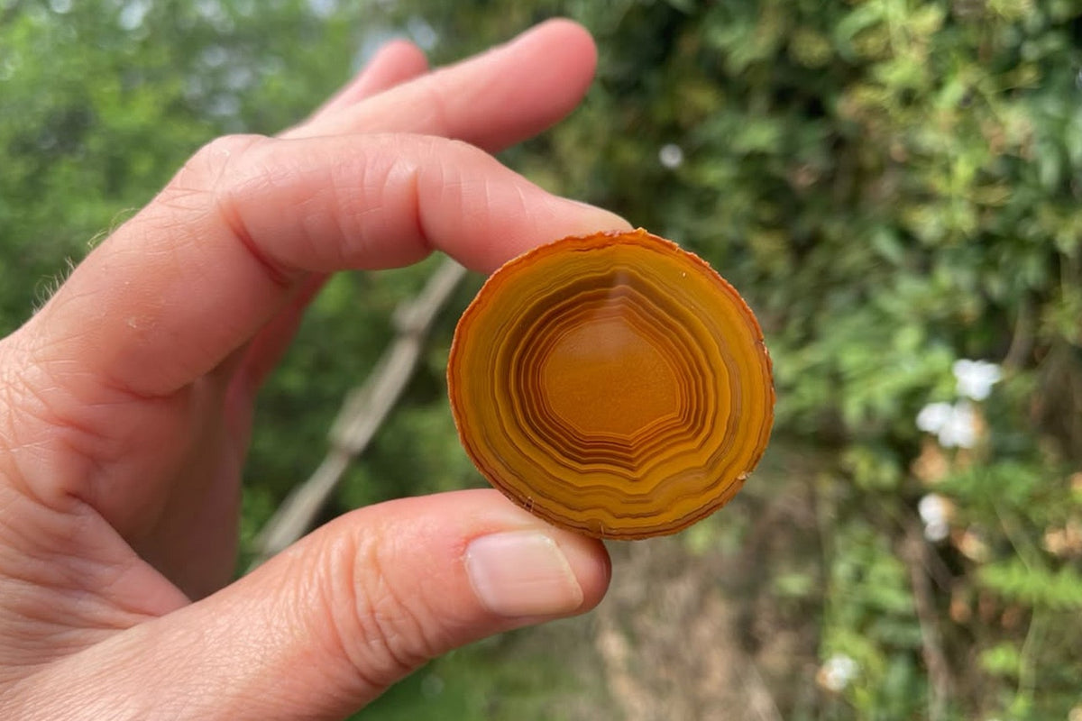 Lilangabi agate 34 mm parallax specimen held in hand for scale