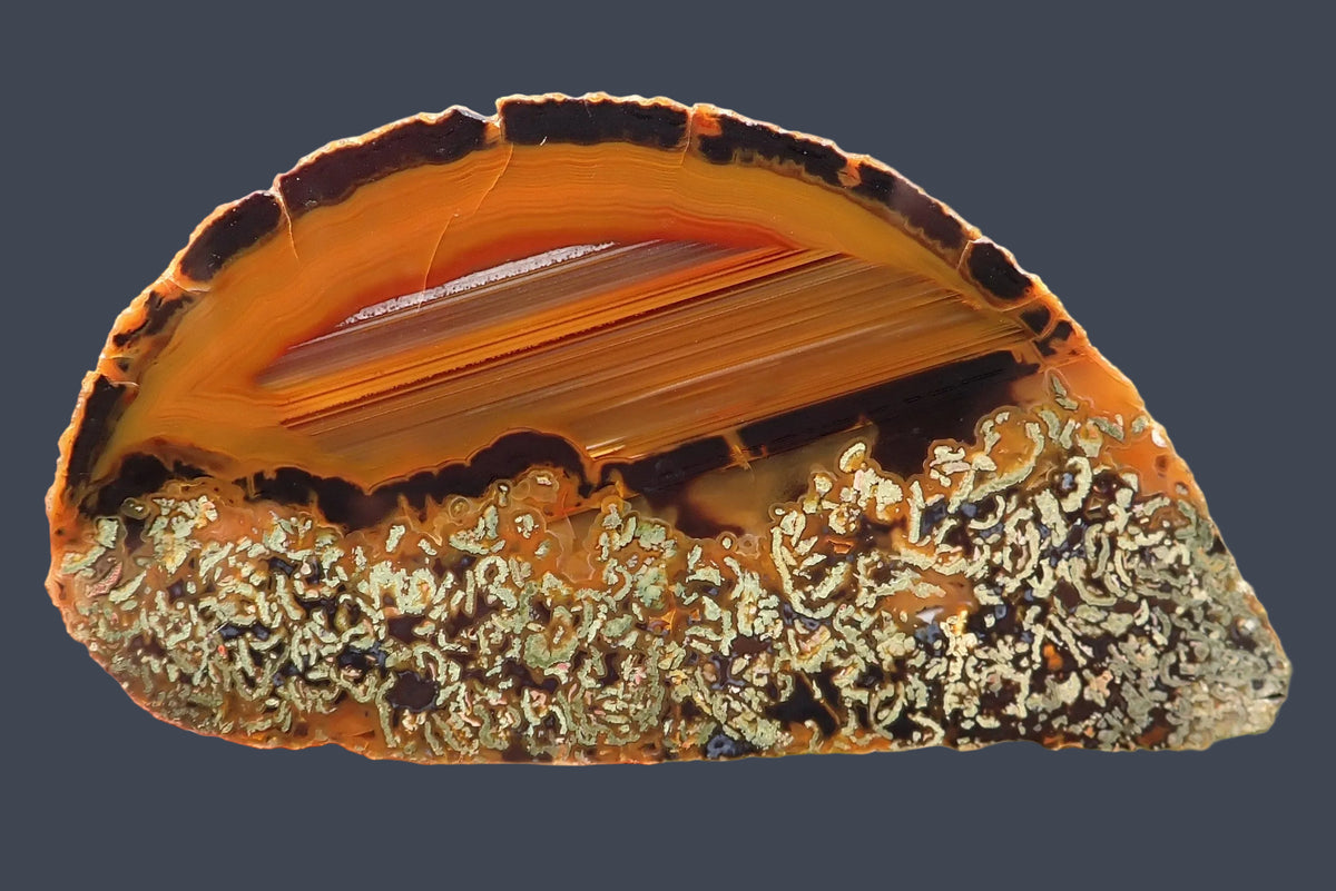 Lilangabi agate 77 mm – full face with fine amber waterlines above dense cream-and-dark moss-like patterning, Lebombo Mountains.