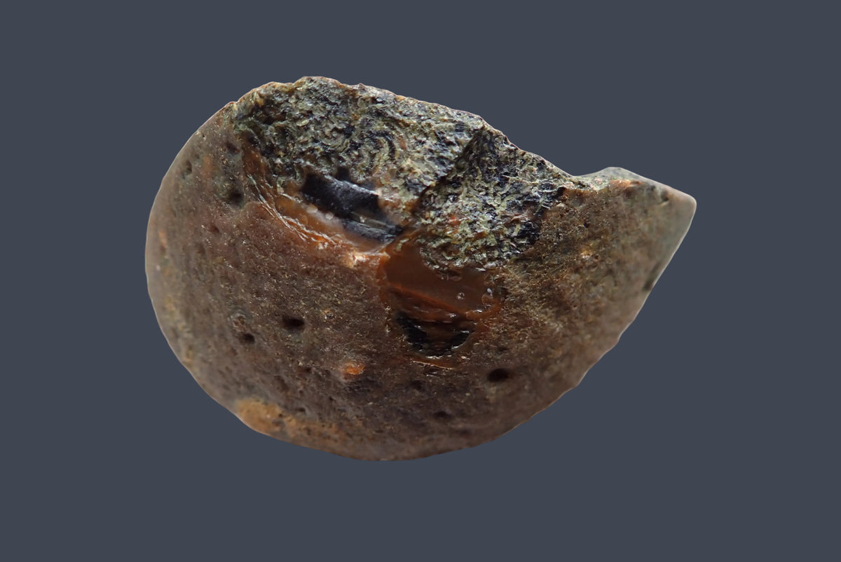 Lilangabi agate 77 mm – back view, natural rind, Lebombo Mountains