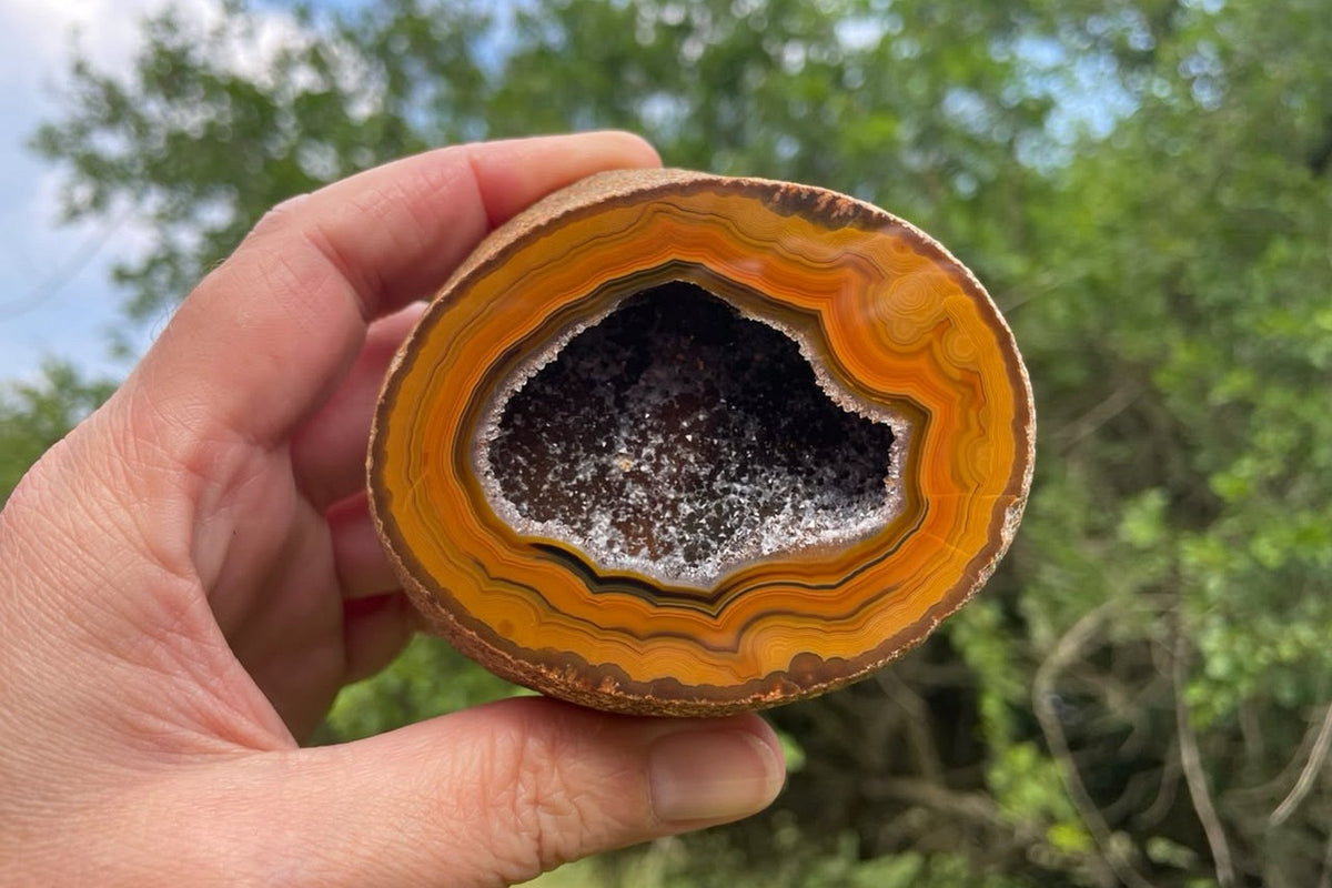 Lilangabi agate 74 mm, held in hand for size reference, with fine fortification banding and a central drusy vug, from the Lebombo Mountains.