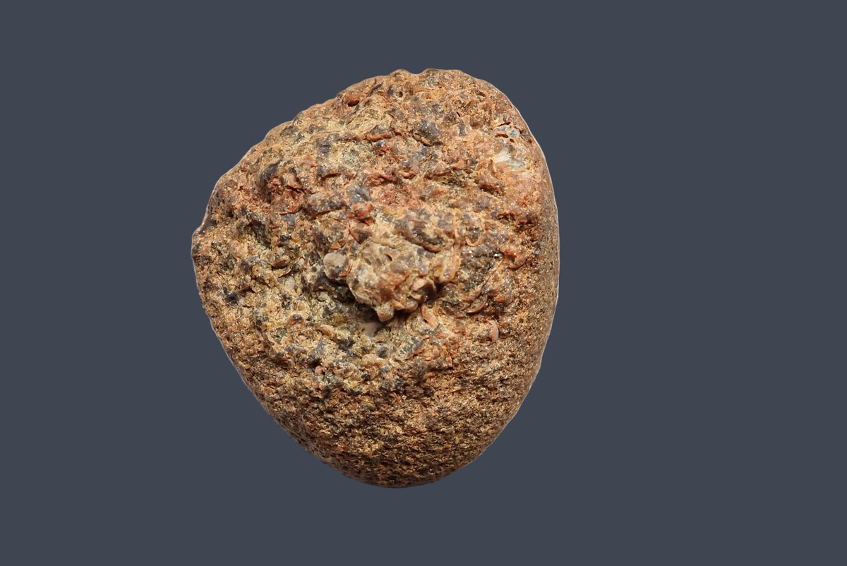 Lilangabi agate 74 mm, back view of the natural rind from the Lebombo Mountains.