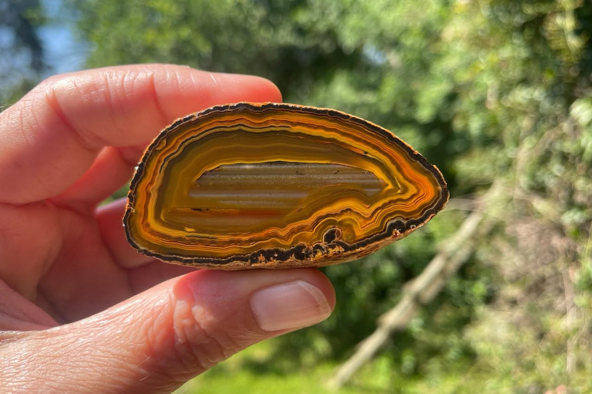 Lilangabi agate 60 mm, held in hand for scale, from the Lebombo Mountains.