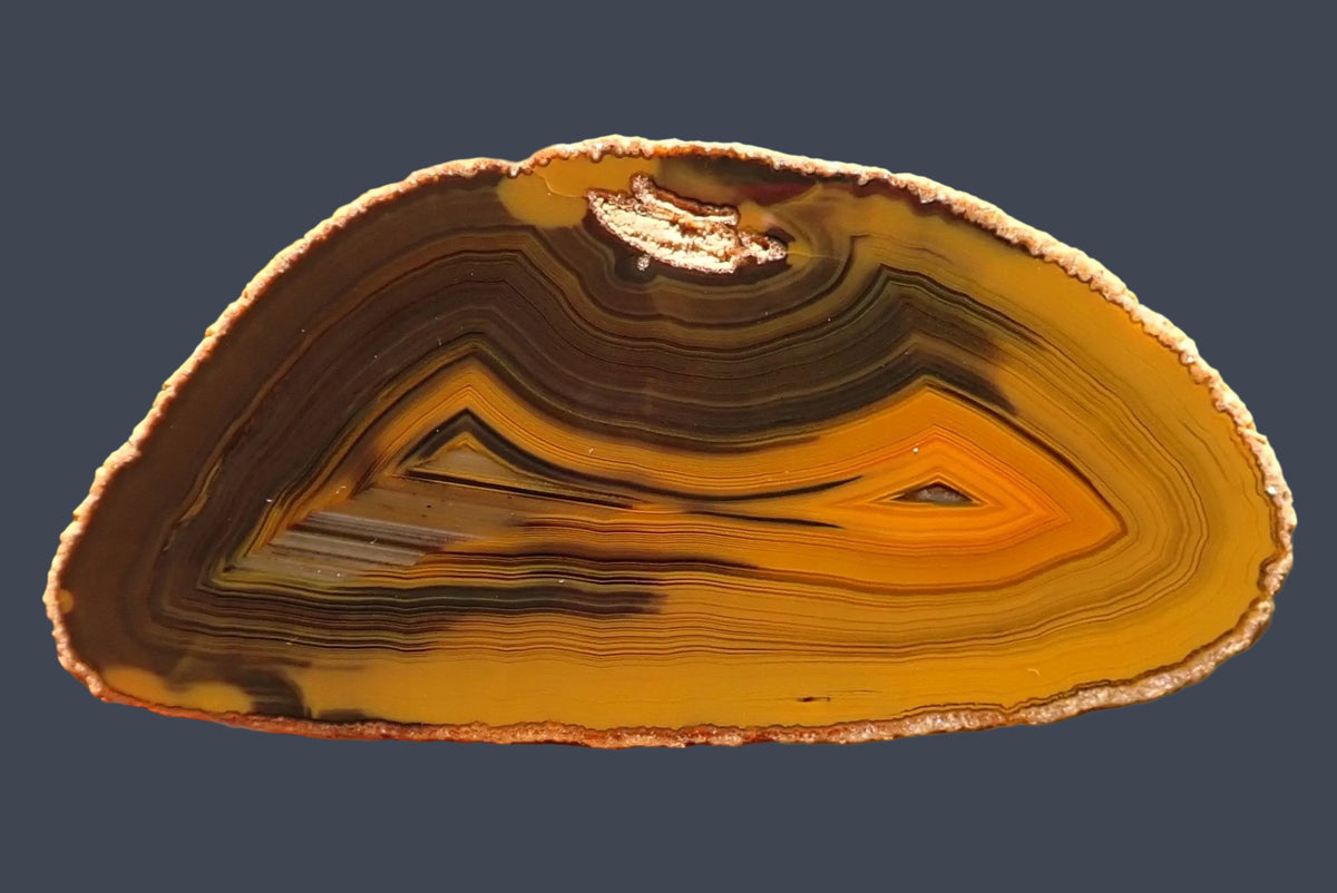 Lilangabi agate 82 mm – hand-lapped face showing chromatography, fine horizontal waterlines and angular fortification banding in charcoal-brown, gold and orange.