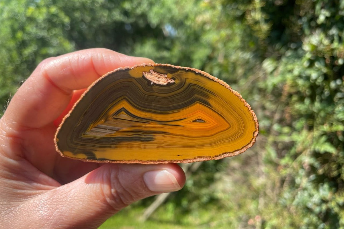 Lilangabi agate 82 mm – held for scale, showing the semicircular face with fine waterlines, fortification banding and charcoal-brown to golden-orange colour shifts.