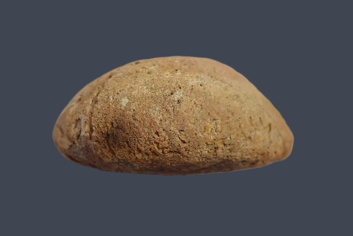 Lilangabi agate 82 mm – back view showing the rounded tan-brown natural rind, Lebombo Mountains.