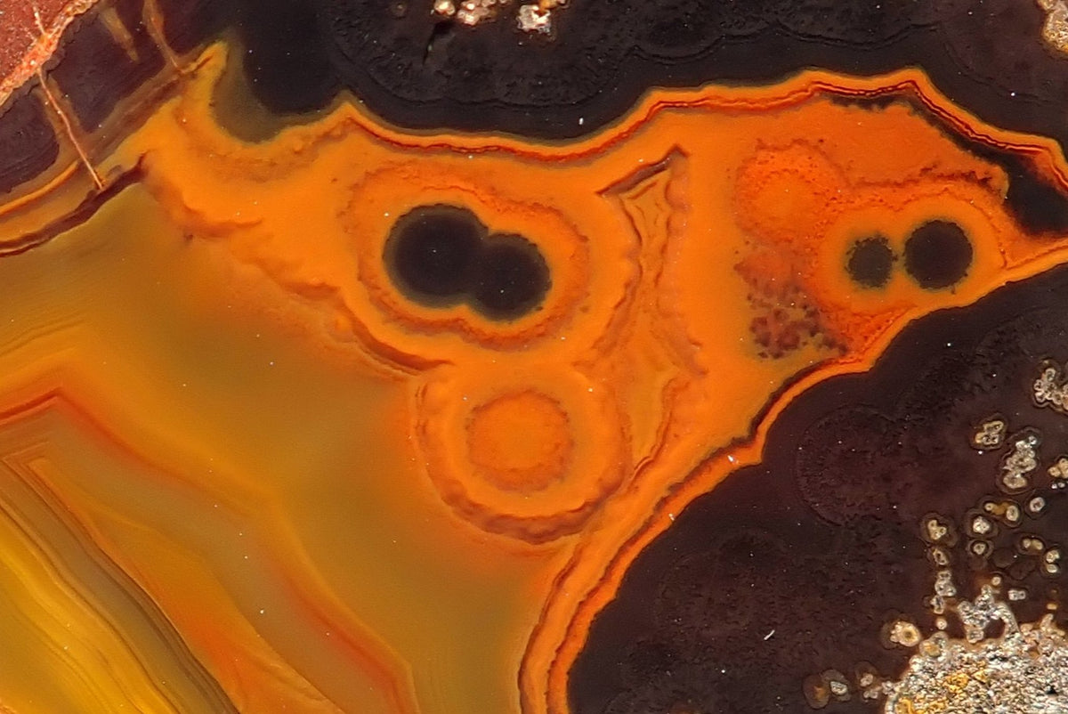 Lilangabi agate 63 mm – detail of paired dark eyes and rounded orange bands forming face-like pareidolia, bordered by fine orange and gold fortification bands.