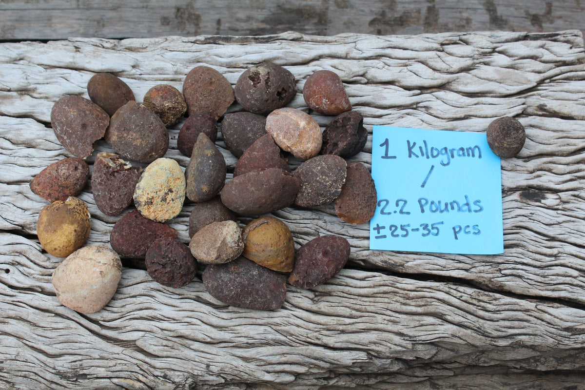 Example 1 kg batch of rough Lilangabi agate poppers arranged on weathered wood beside a handwritten label noting approximately 25–35 pieces per kilogram.