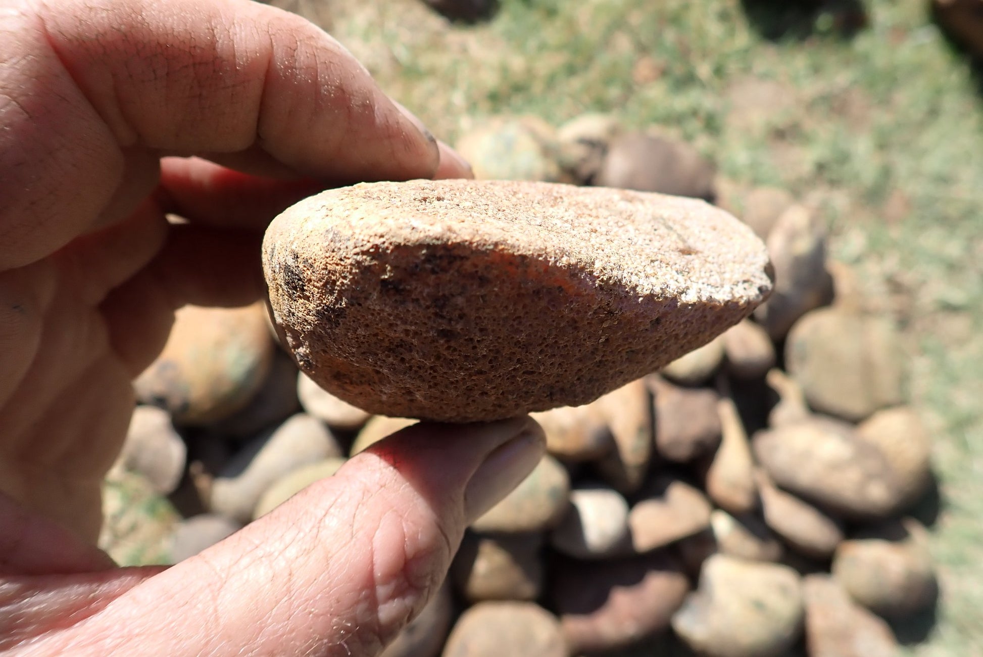 Lilangabi agate nodules – in-hand size reference, scalloped form, warm amber tones, Eswatini