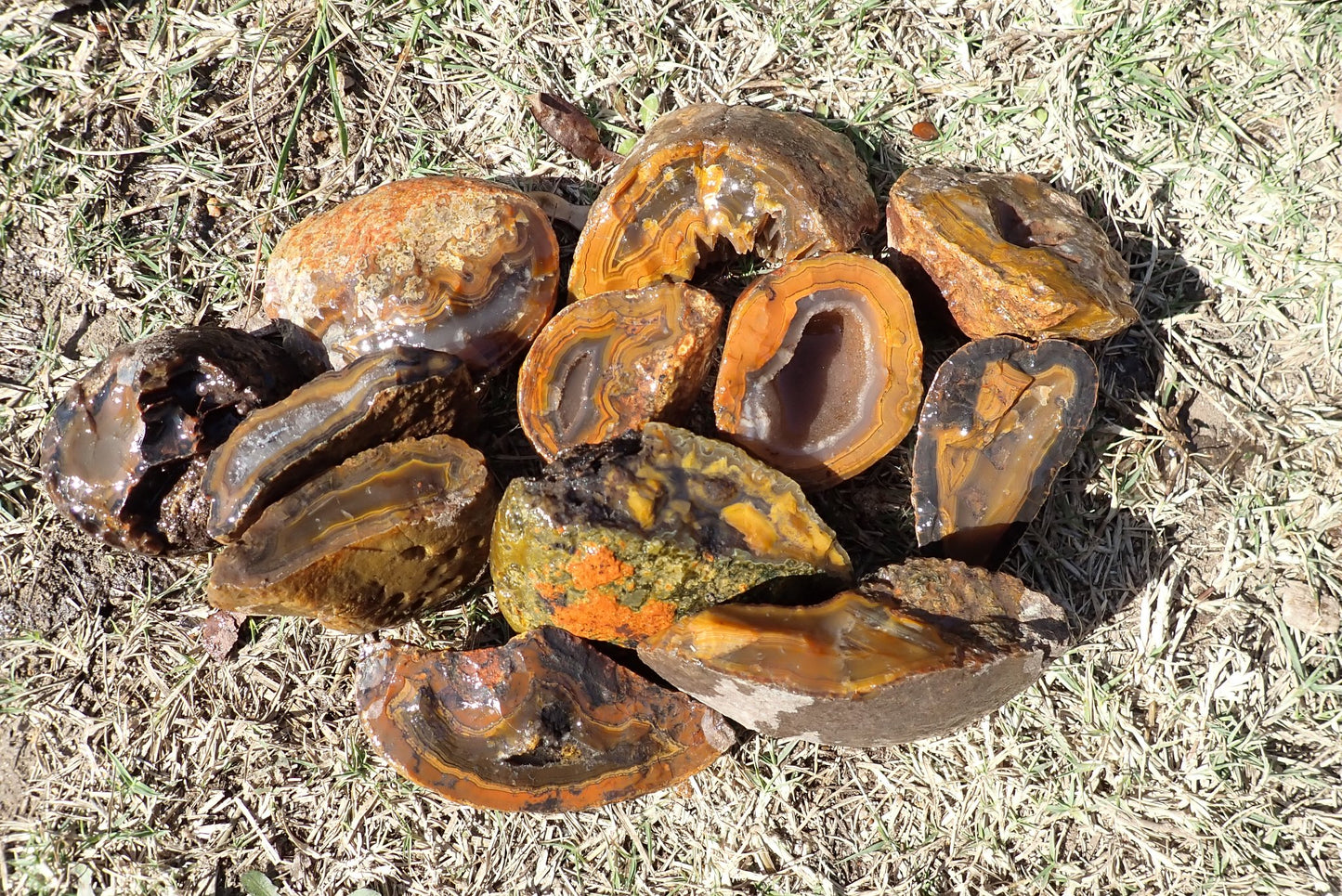 Lilangabi agate nodule – rough cut face, wet to show colour, fortification banding and chromatism, Eswatini