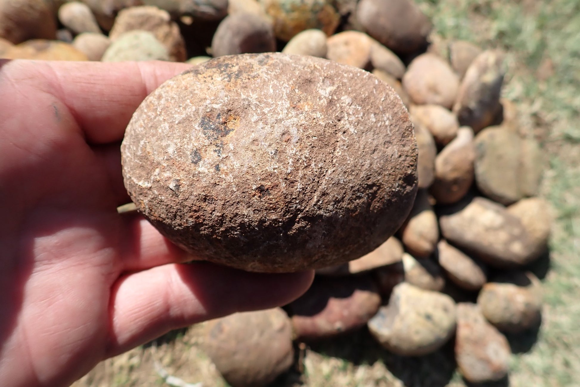 Lilangabi agate nodules – in-hand size reference, rough uncut nodules, Lebombo Mountain range, Eswatini