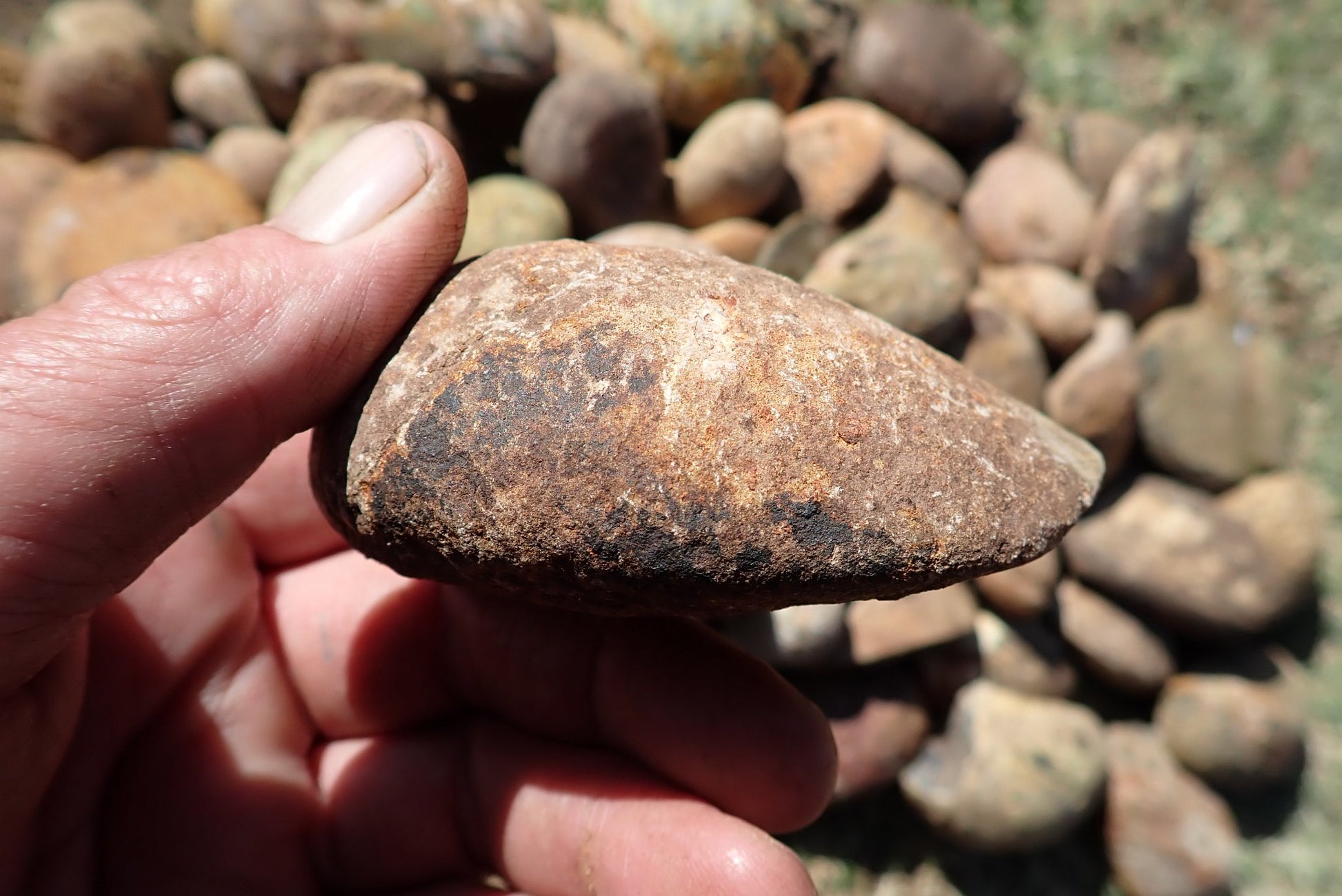 Lilangabi agate nodules – in-hand size reference, natural rind, earthy fire palette, Eswatini