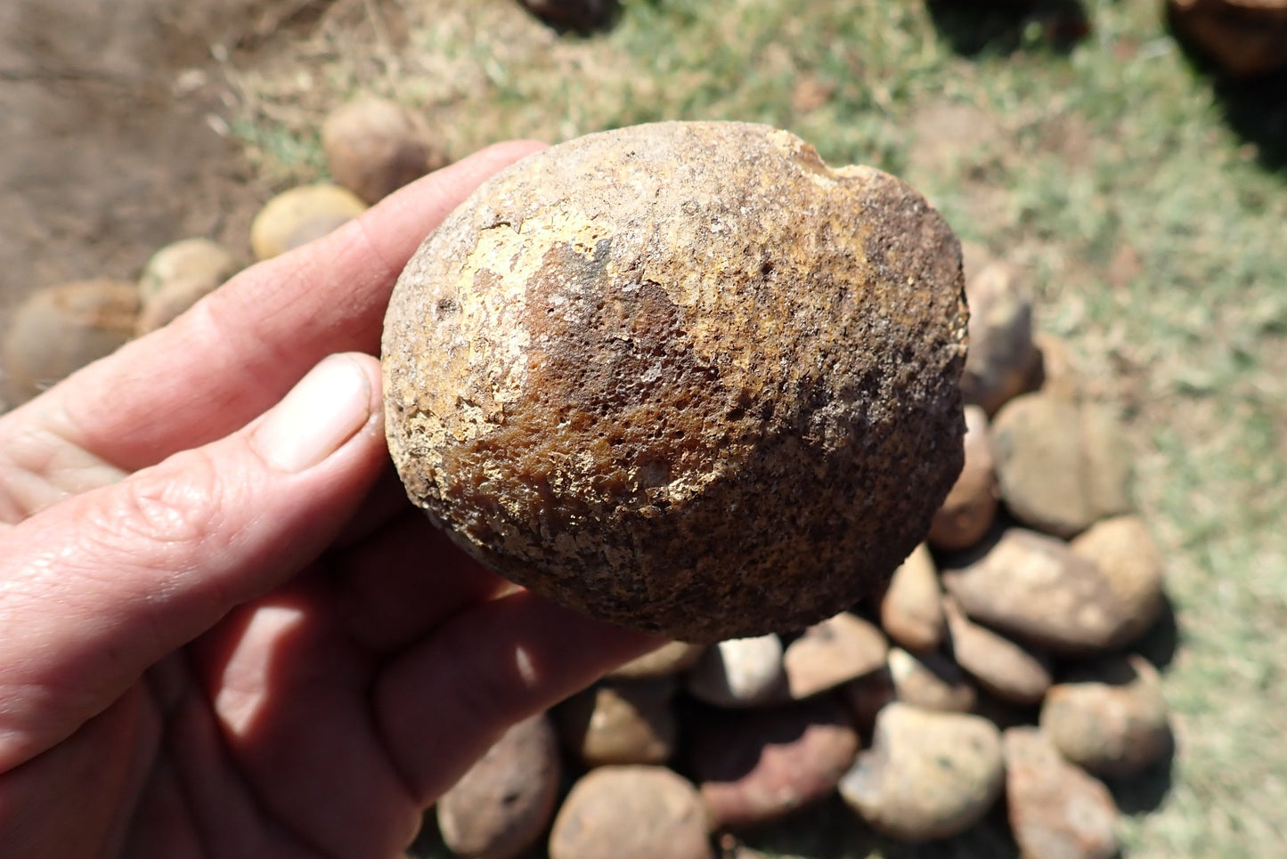 Lilangabi agate nodules – in-hand size reference, scalloped nodule form, rough Lilangabi agate, Eswatini