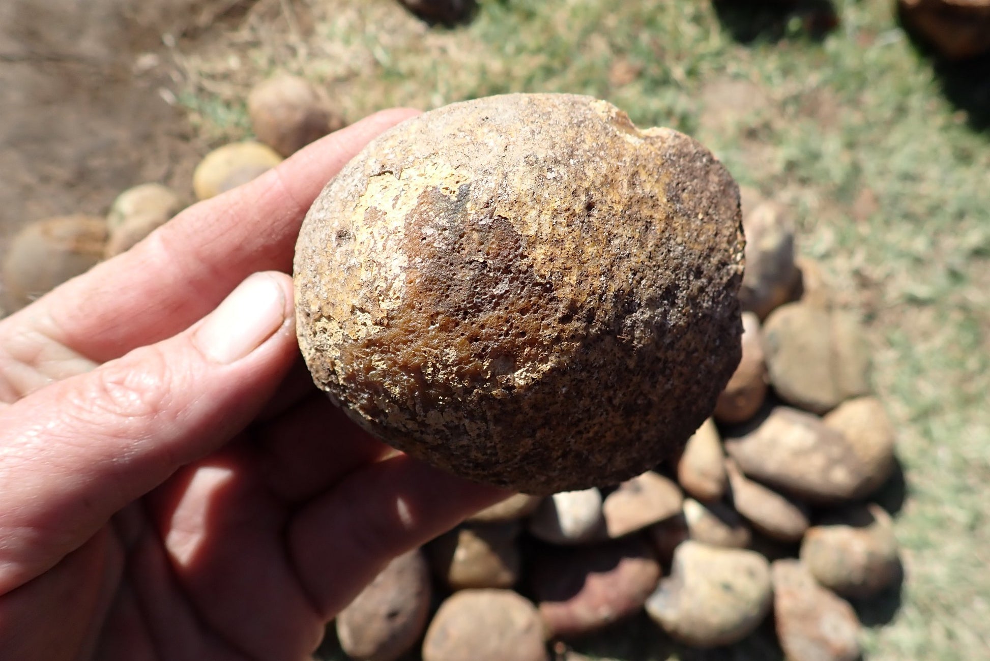 Lilangabi agate nodules – in-hand size reference, scalloped nodule form, rough Lilangabi agate, Eswatini