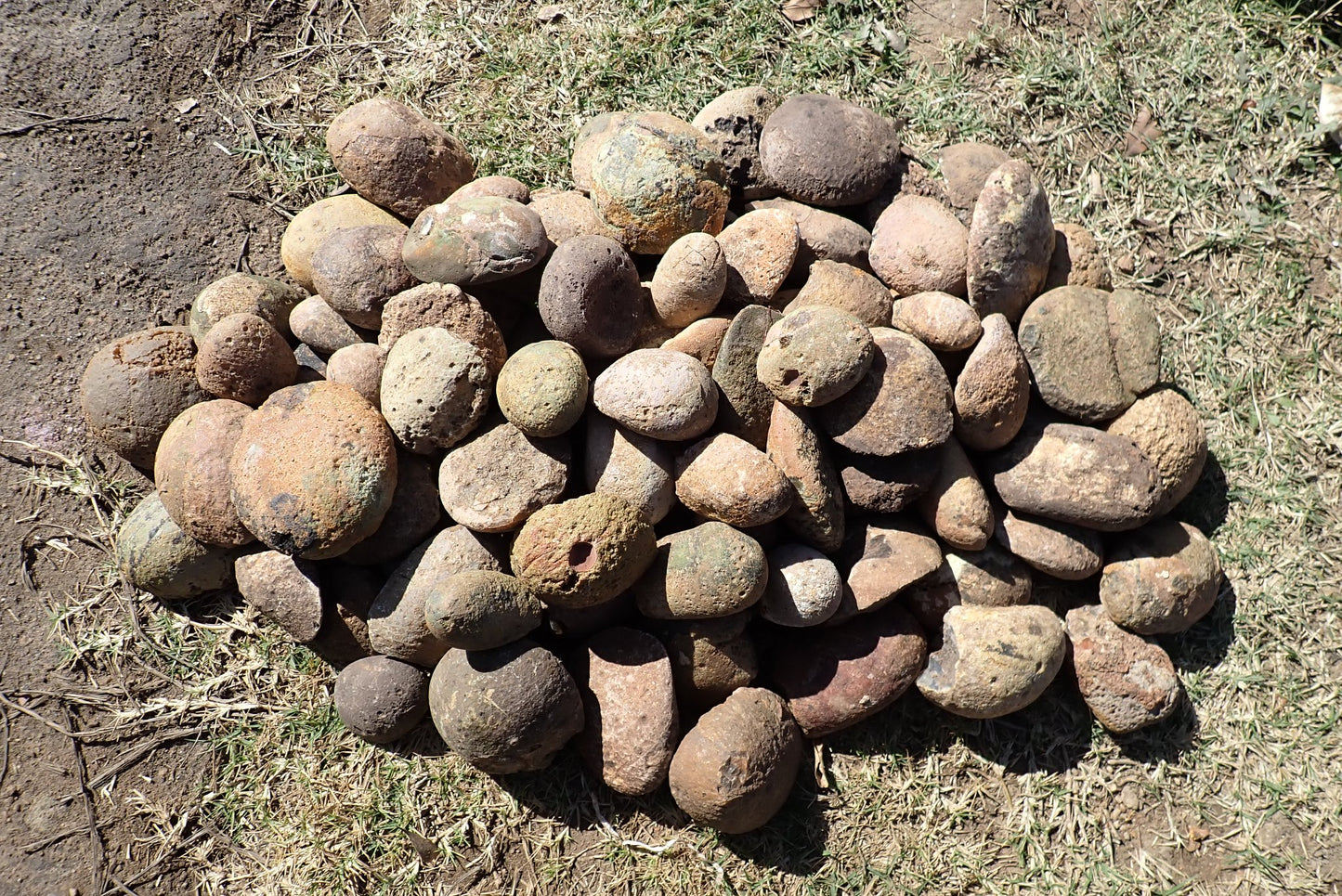 Lilangabi agate nodules – rough lot selection, orange and amber tones, scalloped shell shape, Eswatini