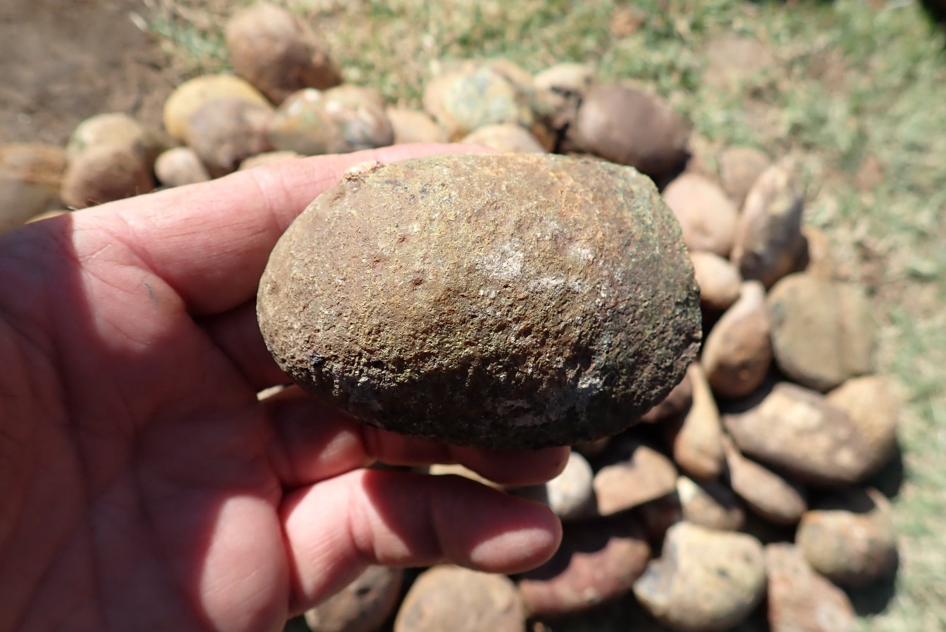 Lilangabi agate nodules – in-hand size reference, rough nodules, electric orange and yellow, Eswatini