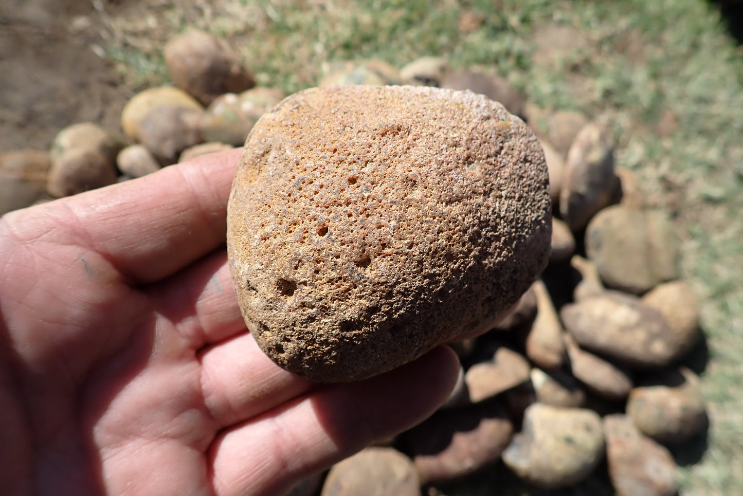 Lilangabi agate nodules – in-hand size reference, natural uncut surface, fire palette, Eswatini