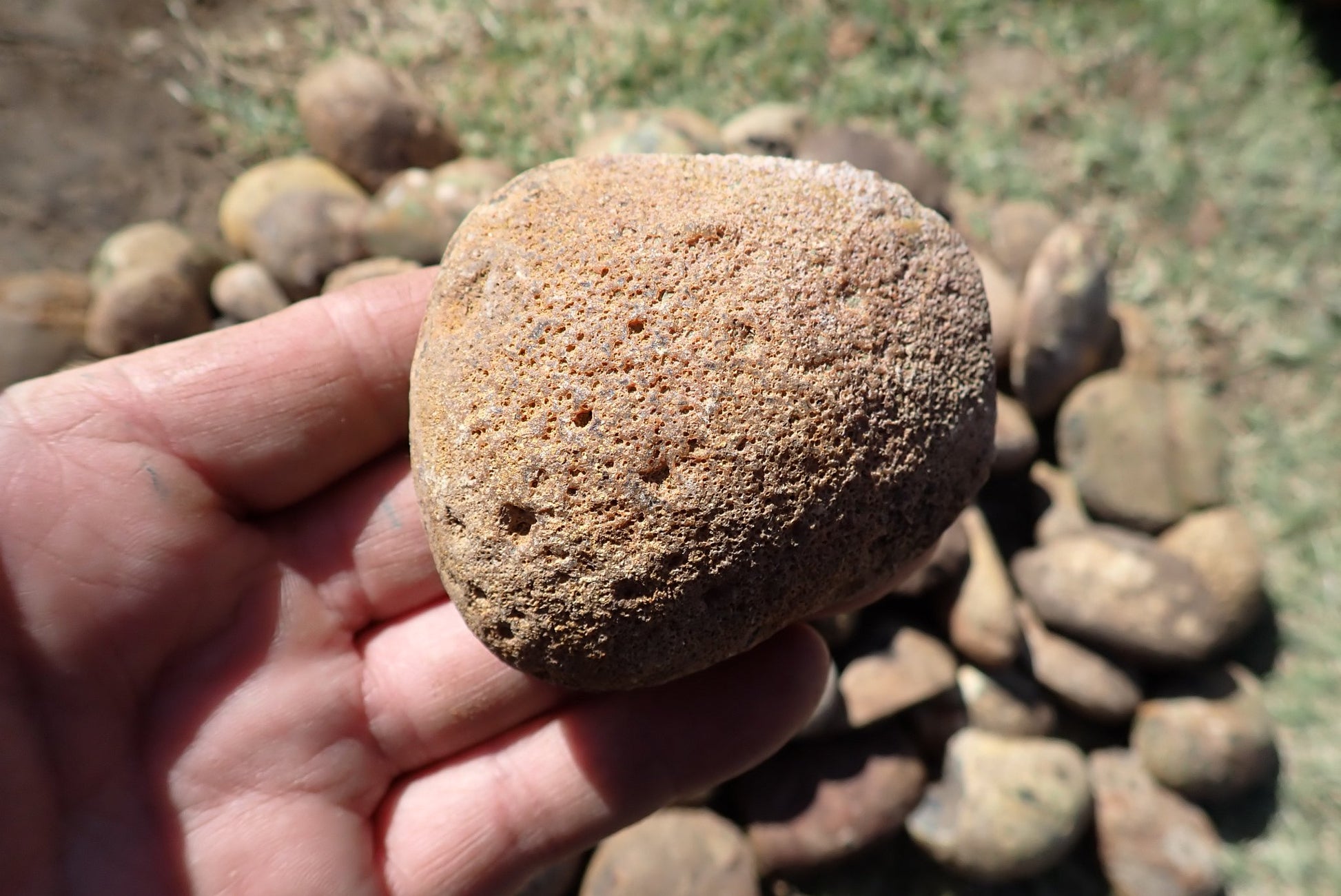 Lilangabi agate nodules – in-hand size reference, natural uncut surface, fire palette, Eswatini
