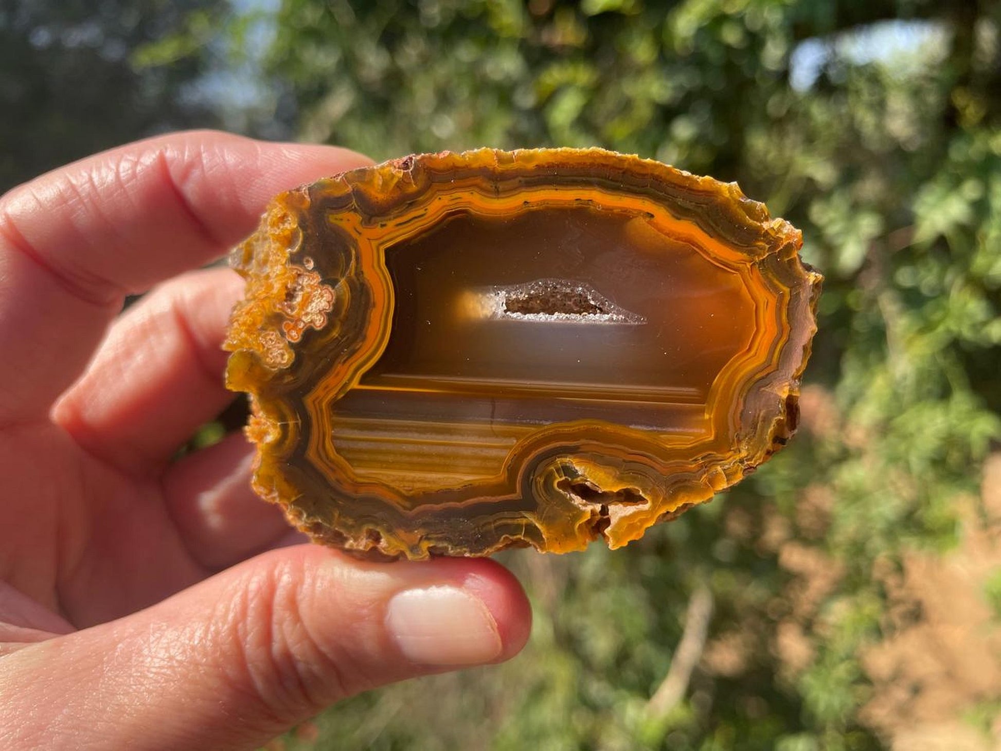 Lilangabi agate 64mm – in-hand, vug and waterlines visible, warm amber palette | SKU LIL00015