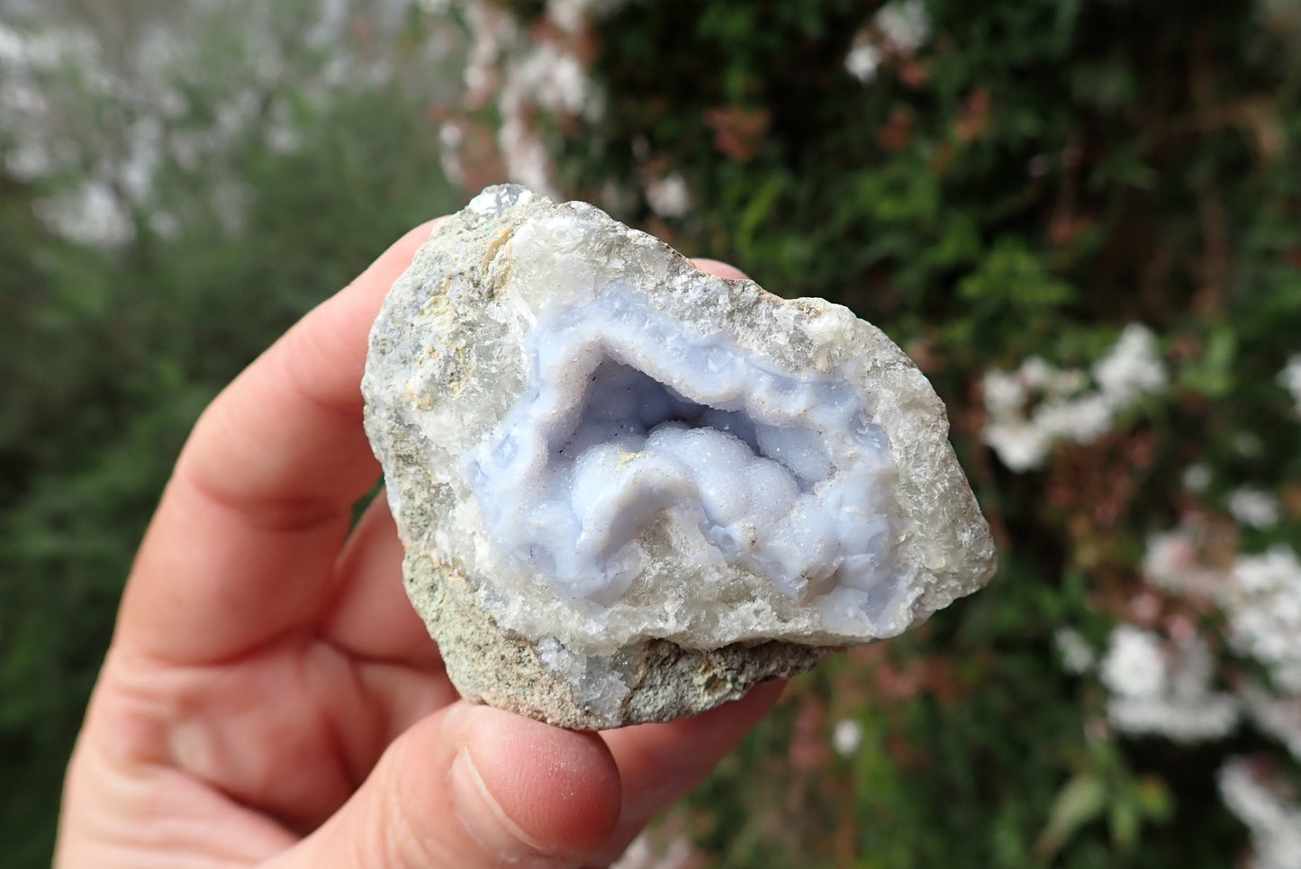 Blue Lace Agate nodule – in hand, blue-grey chalcedony with open cavity, Malawi