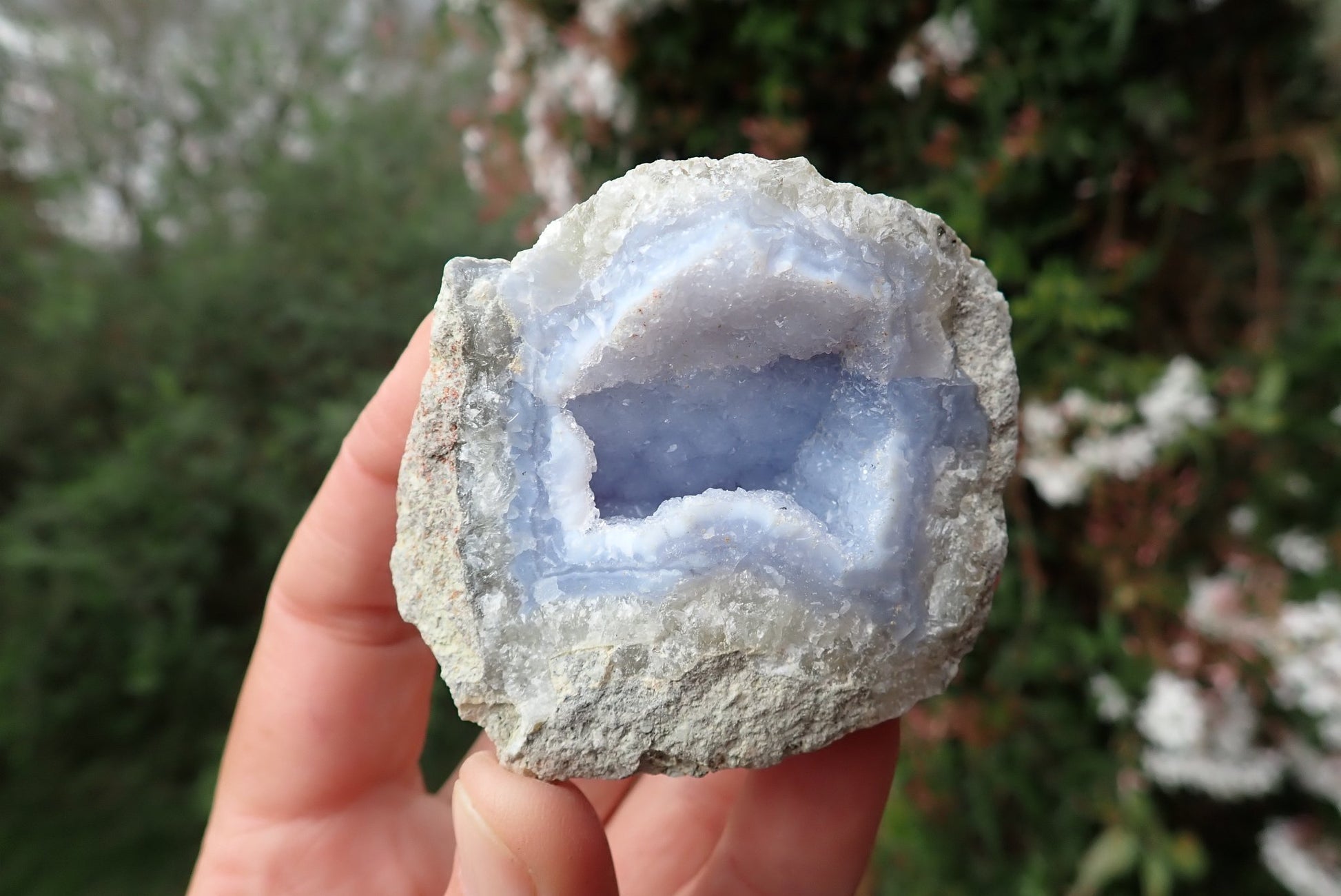 Blue Lace Agate nodule – in hand, sky-blue drusy vug, natural host rock, Nsanje Malawi