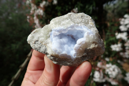 Blue Lace Agate nodule – in hand, open drusy vug, blue chalcedony, Nsanje Malawi