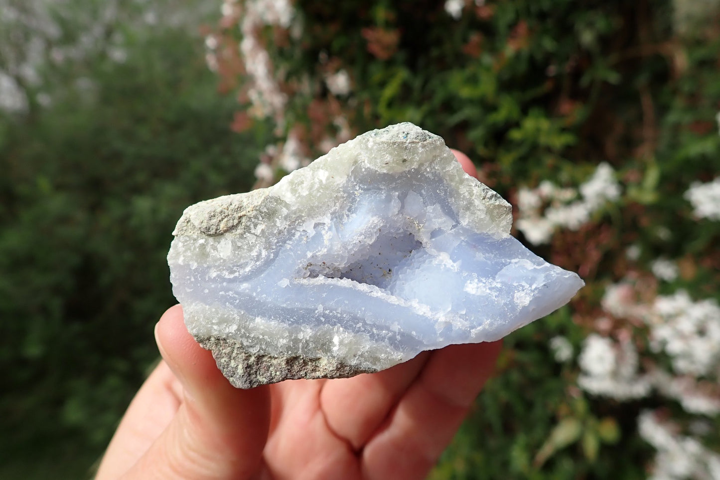 Blue Lace Agate nodule – in hand, blue-grey chalcedony interior, Nsanje Malawi