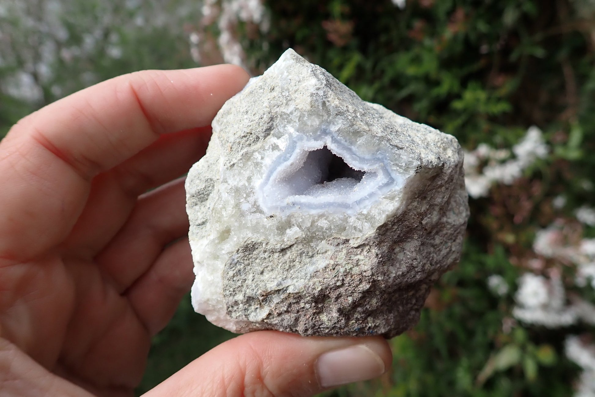 Blue Lace Agate nodule – in hand, drusy vug detail, sky-blue chalcedony, Malawi