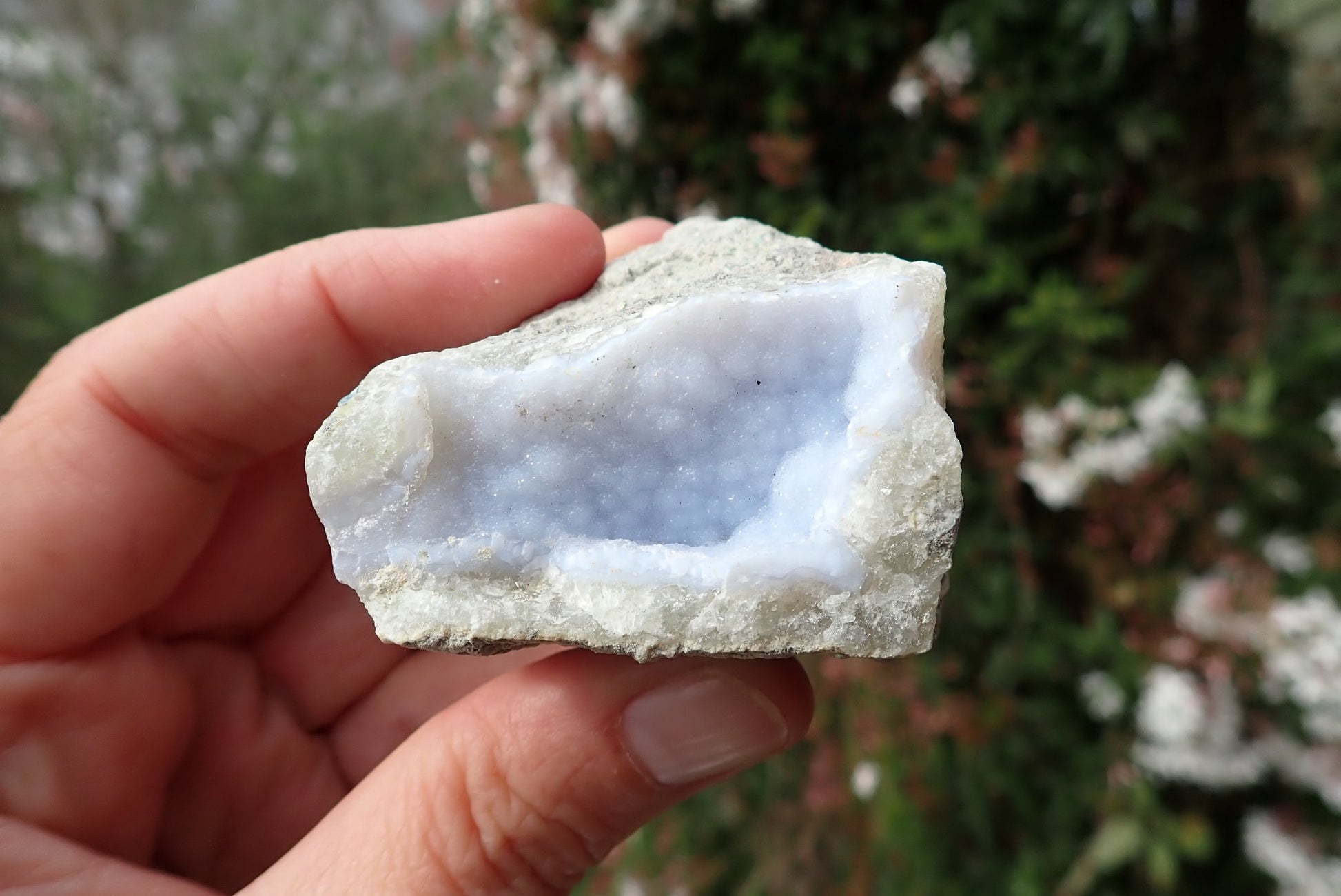 Blue Lace Agate nodule – in hand, open cavity with blue-white chalcedony, Nsanje Malawi