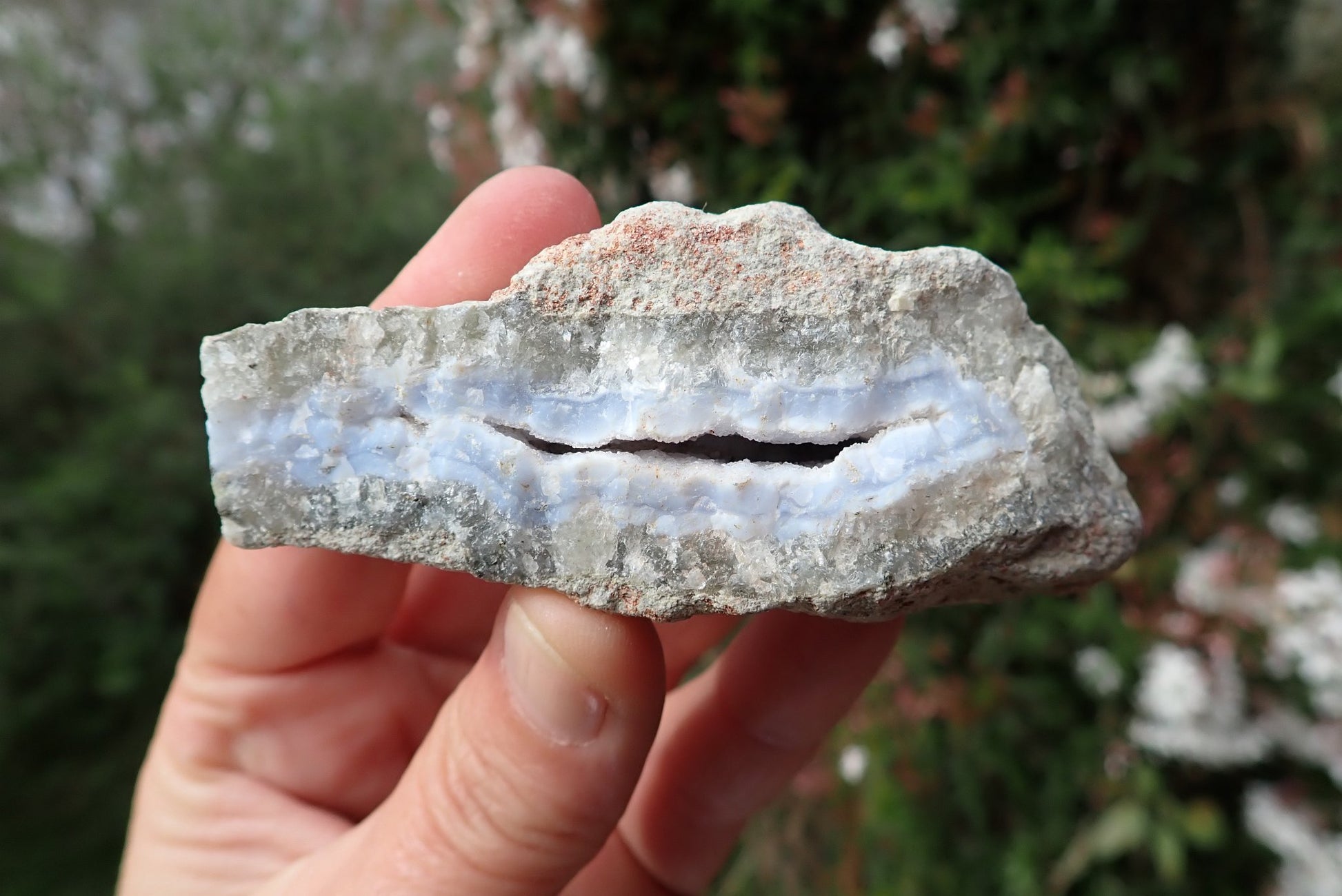 Blue Lace Agate nodule – in hand, open cavity with blue-white chalcedony, Nsanje Malawi