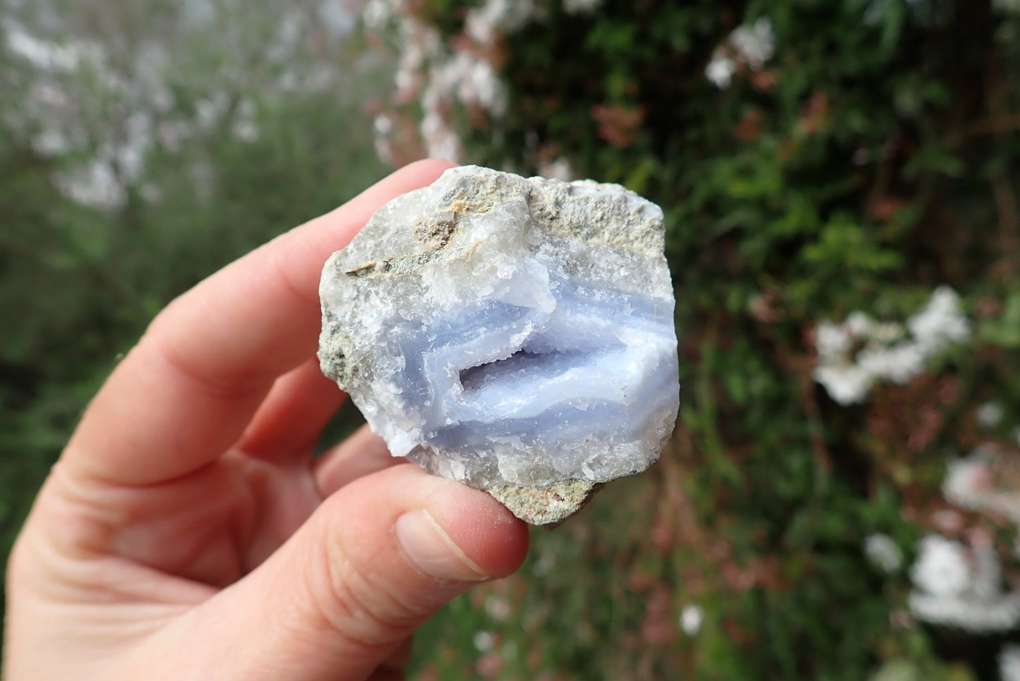 Blue Lace Agate nodule – in hand, blue drusy interior, Nsanje Malawi