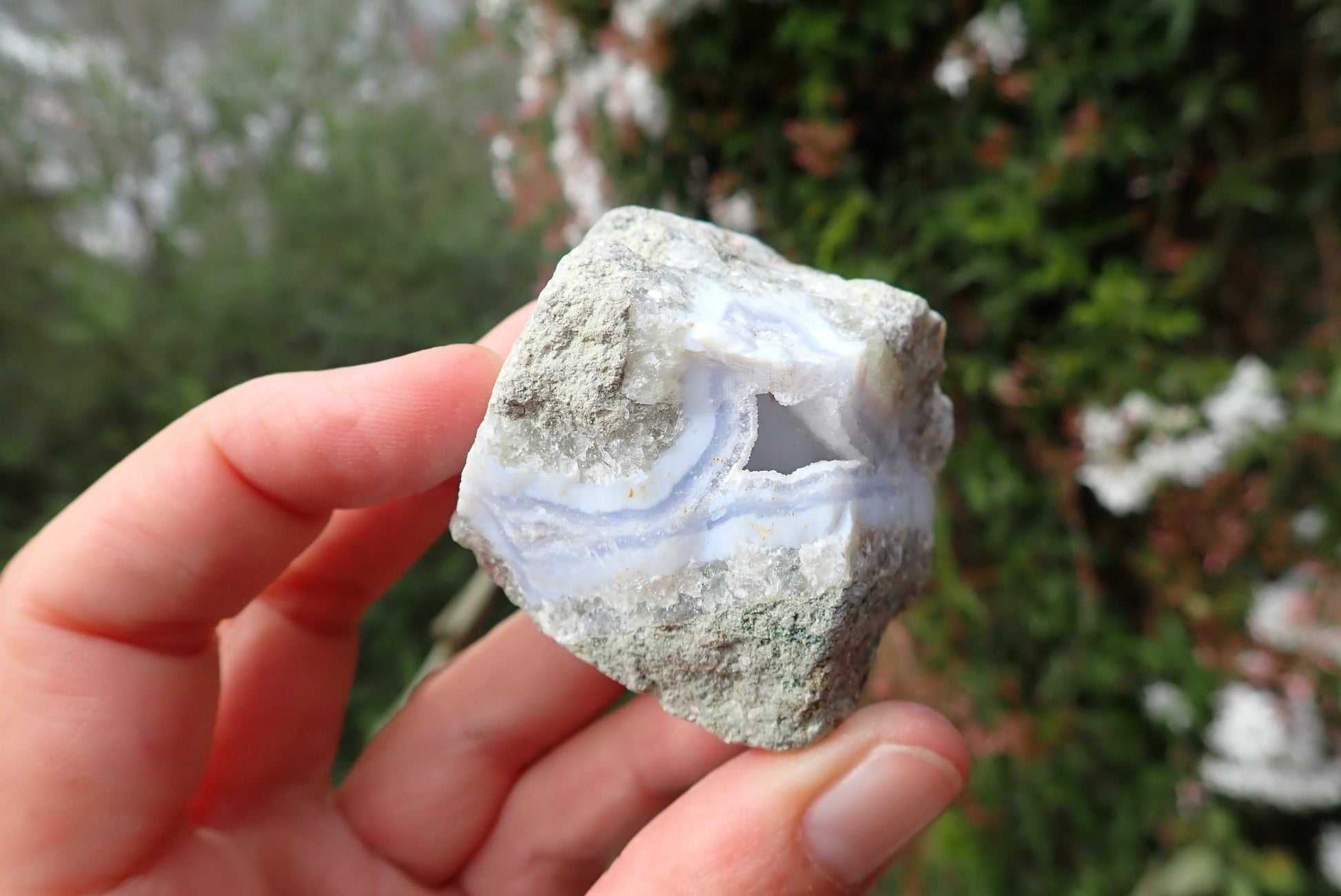 Blue Lace Agate nodule – in hand, open geode cavity, white lacy patterning, Malawi