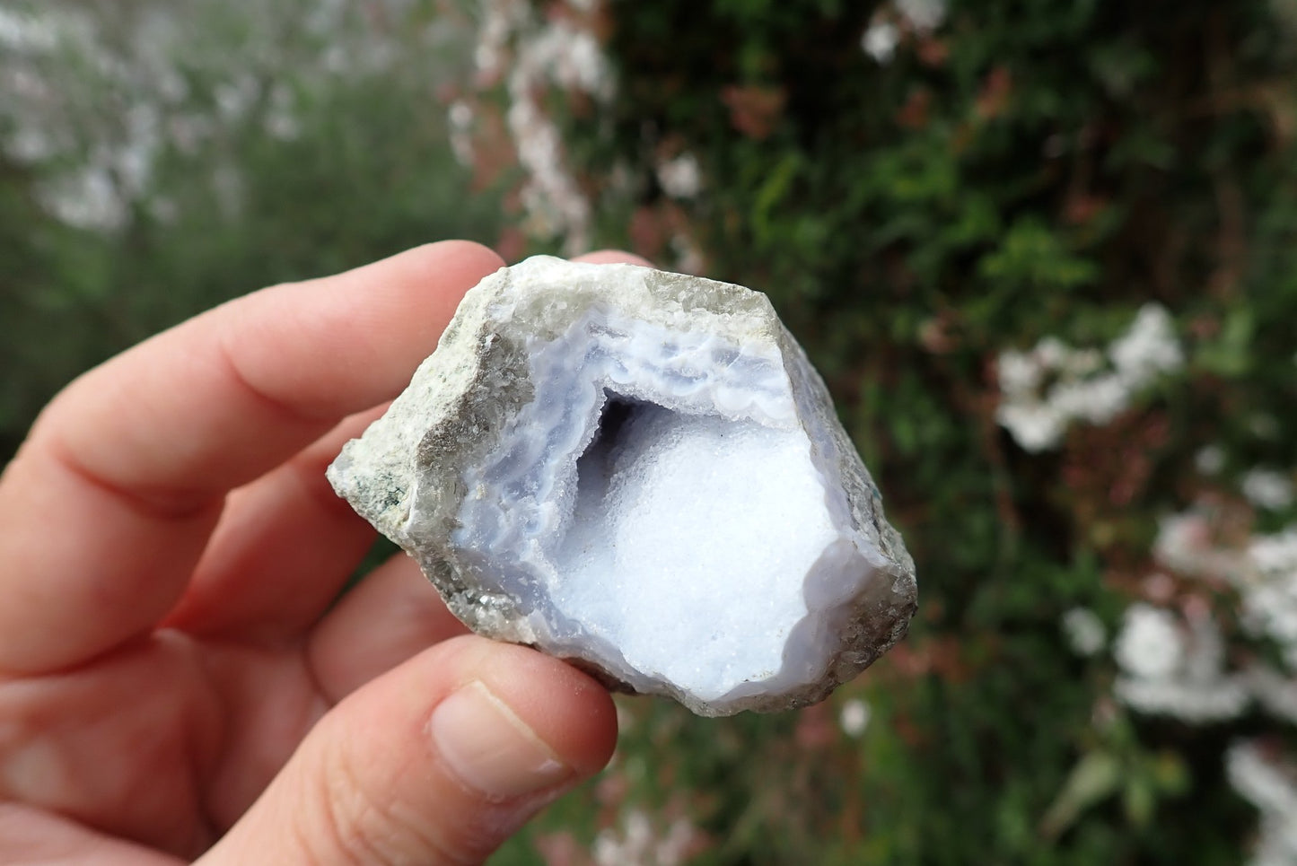  Blue Lace Agate nodule – in hand, white lacy patterning and drusy vug, Nsanje Malawi