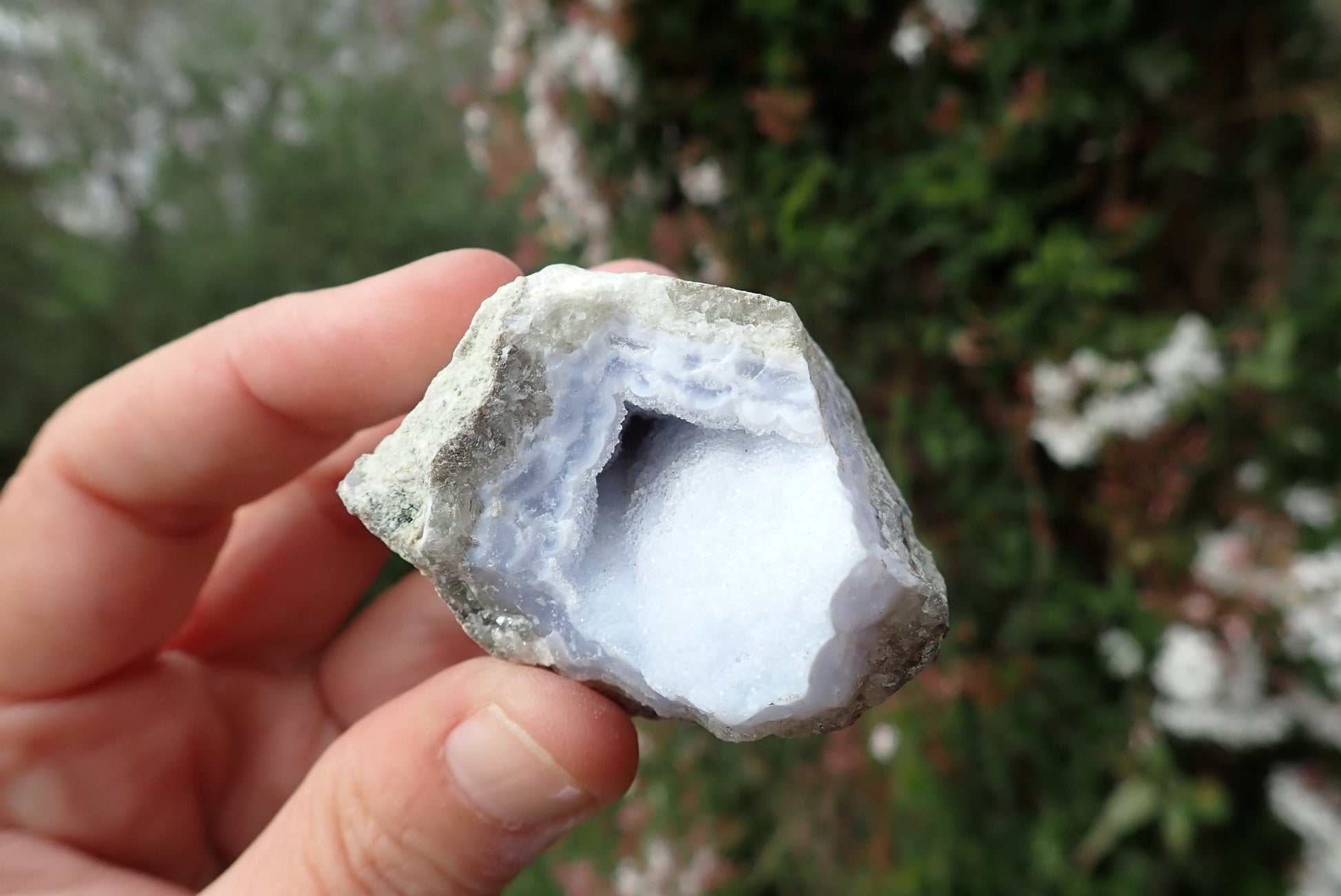  Blue Lace Agate nodule – in hand, white lacy patterning and drusy vug, Nsanje Malawi