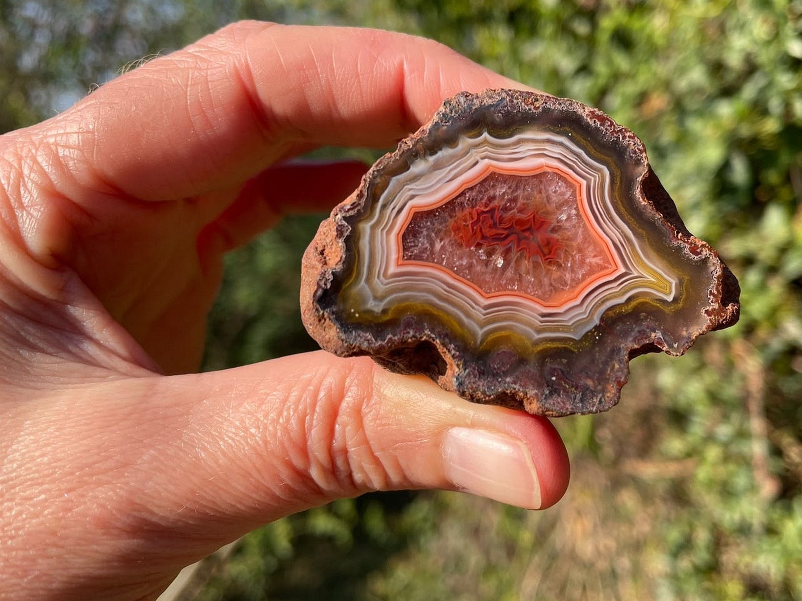 Malawi agate 55 mm – in-hand size reference, parallax, floater, scalloped banding, Ngabu, Malawi