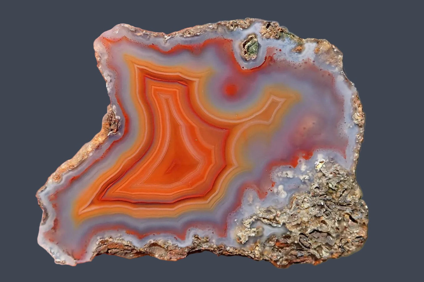 Malawi agate 52 mm – front view, fortification banding, carnelian-orange and blue-grey chalcedony, Ngabu