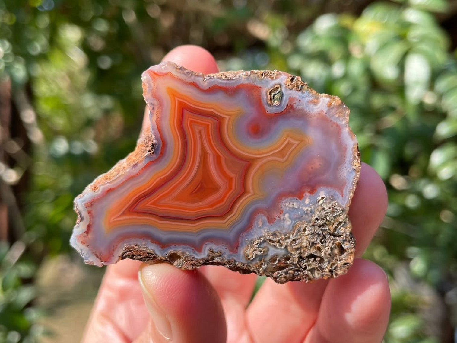 Malawi agate 52 mm – in-hand size reference, fortification banding, Ngabu candy agate